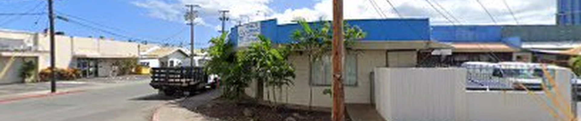 Waialae Electric