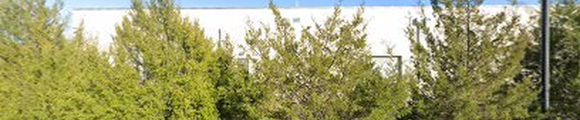 The Colony Electrical
