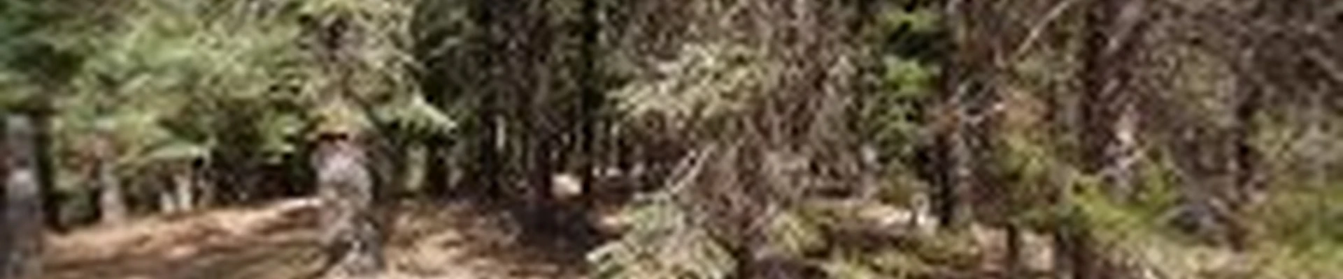 Ackley Electric
