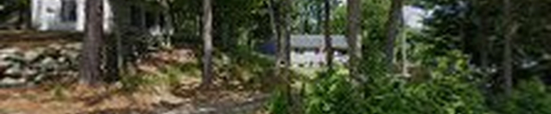 Dual Voltage Electric Llc