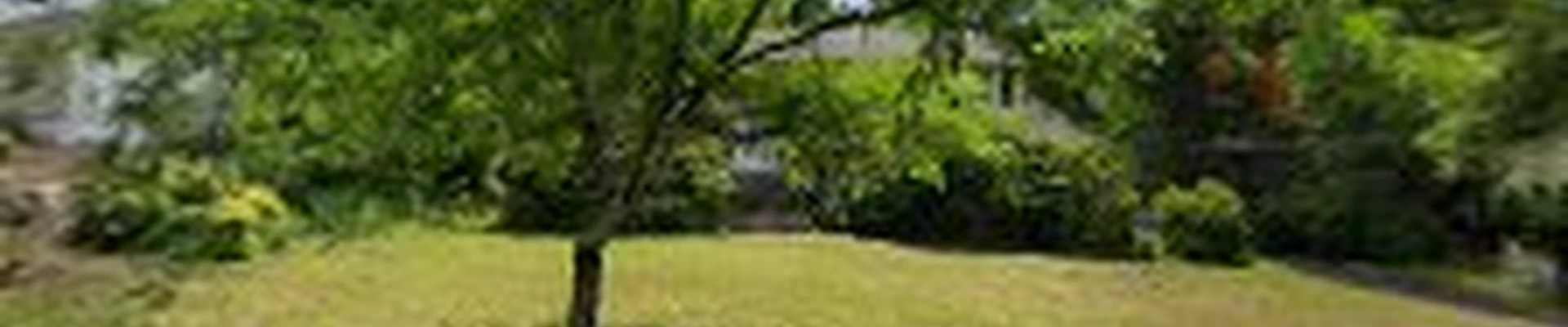 Luxe Construction Group