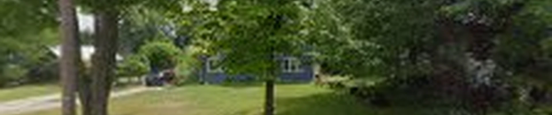 Tom Cifranic Services LLC