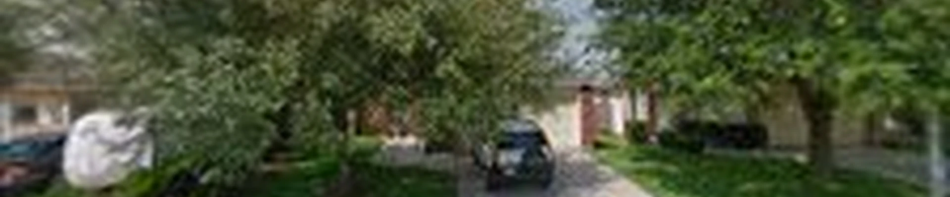 Dr lopez tree landscaping services