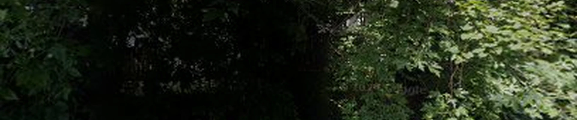 Unique Landscaping
