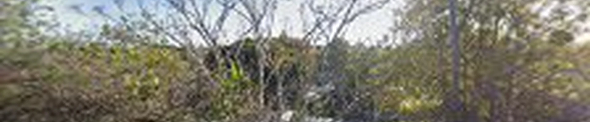 Bradley Landscape Development