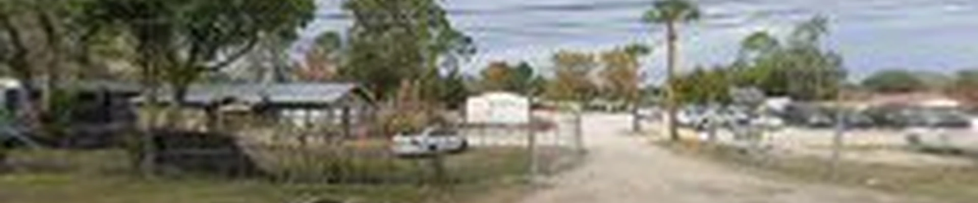 Yellowstone Tree Care Jacksonville
