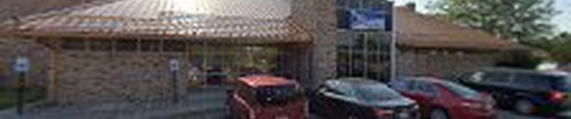 Dc Lawn & maintenance