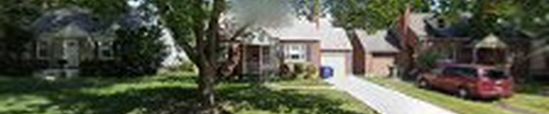 Basic Tree Care | Columbus Tree Cutting & Removal