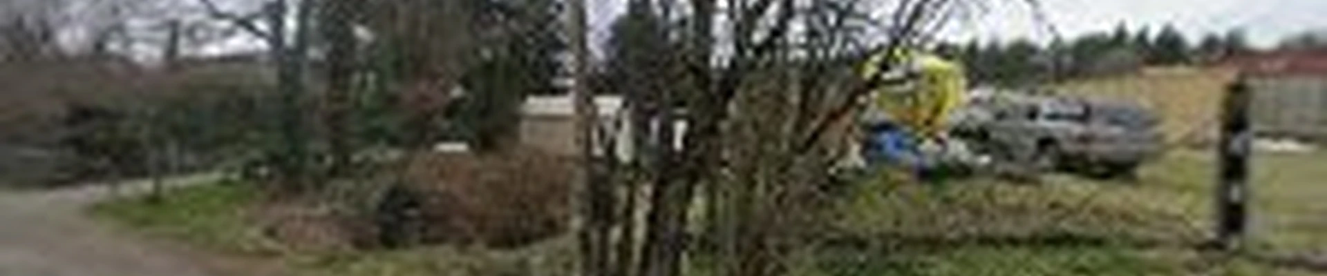 Green Image Landscape Services