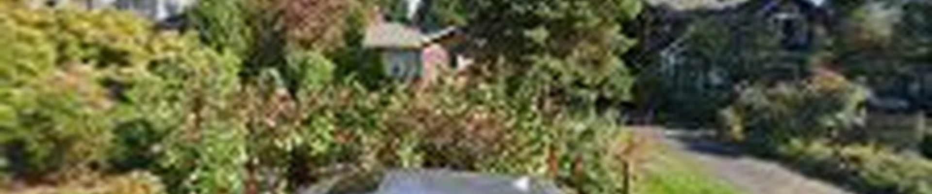 Senn Landscaping