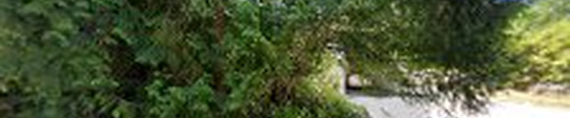 B&B Landscaping Services