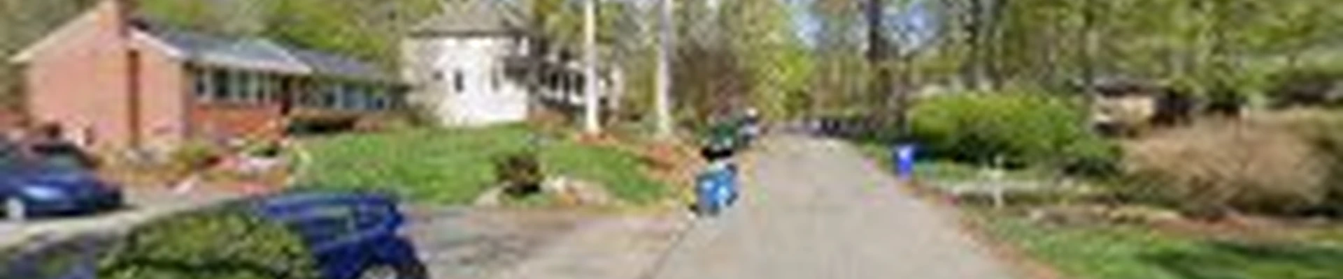 Gorilla Trees Services LLC