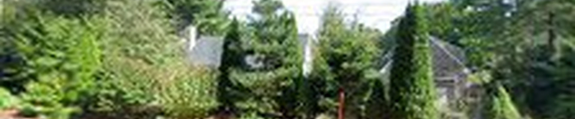 RD Landscape & Design