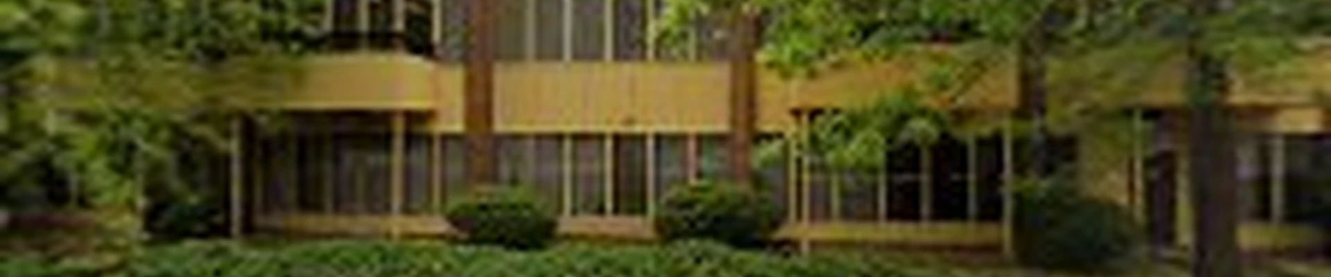 AntCie Maintenance Services LLC