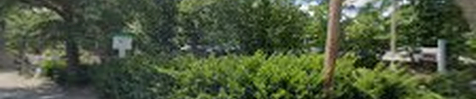 Wellesley Landscape Architects