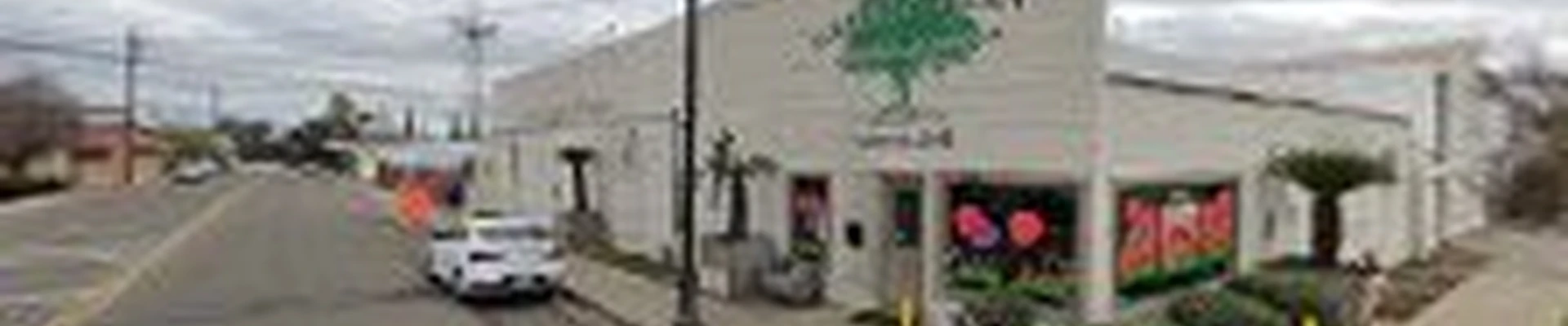 Green & Clean Landscaping & Construction