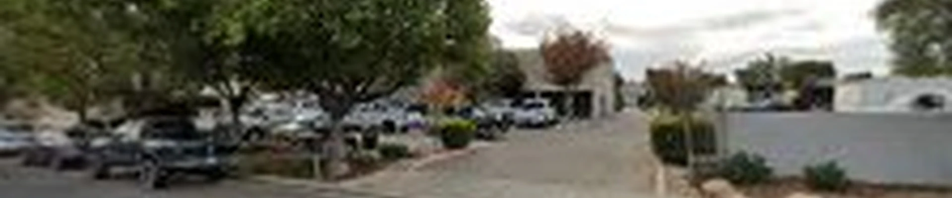 Elite Landscape Construction