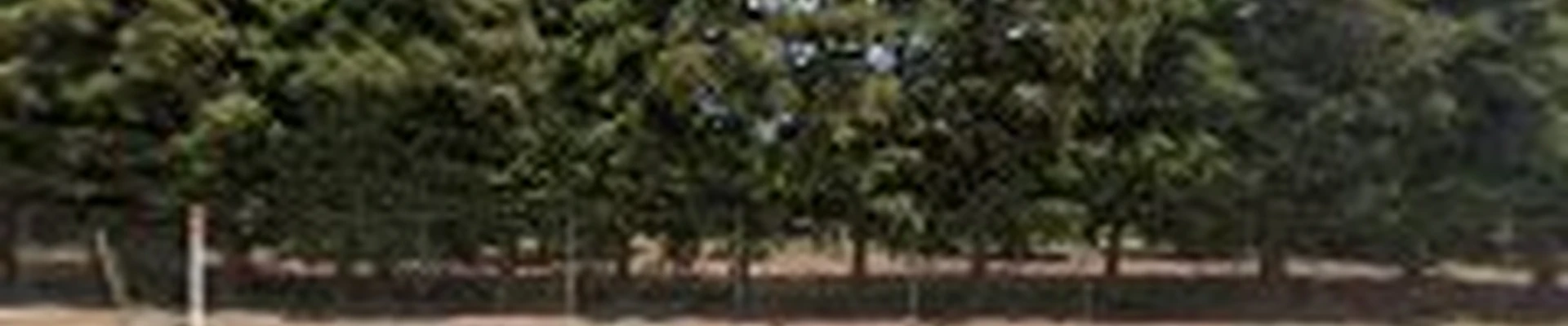 Villa Garden Services