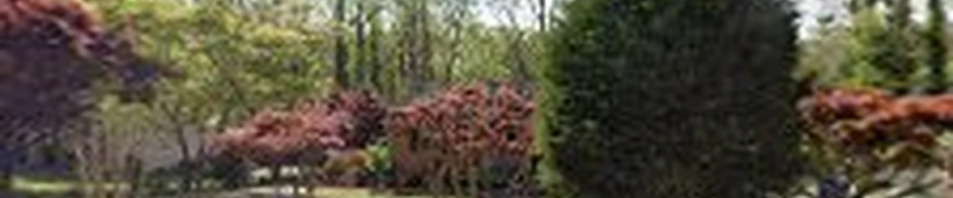 All Pro Landscaping