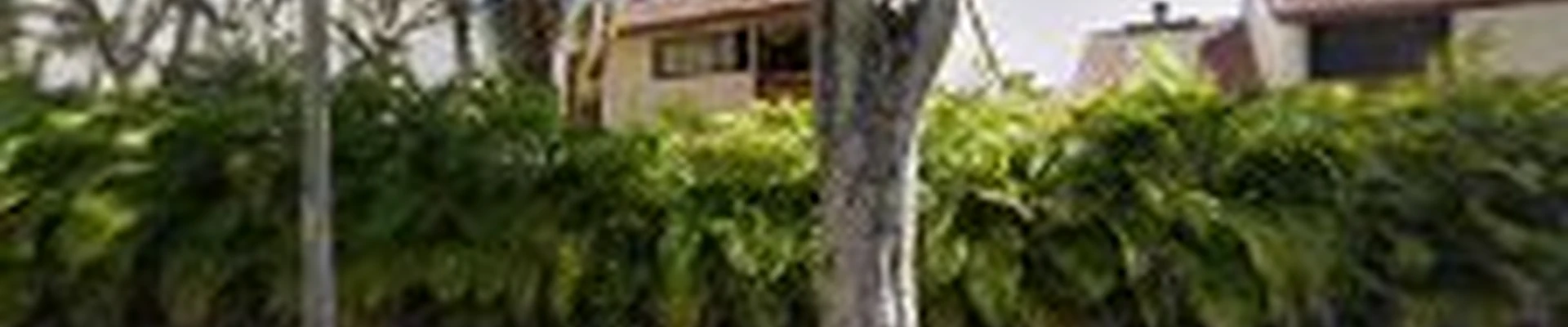 Josean Landscaping