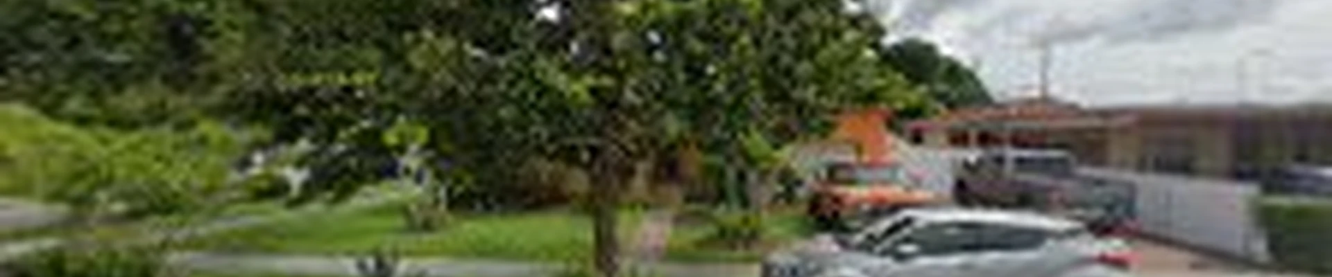 Israel Landscaping & Tree Services