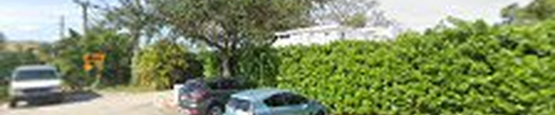 Green Florida Landscaping