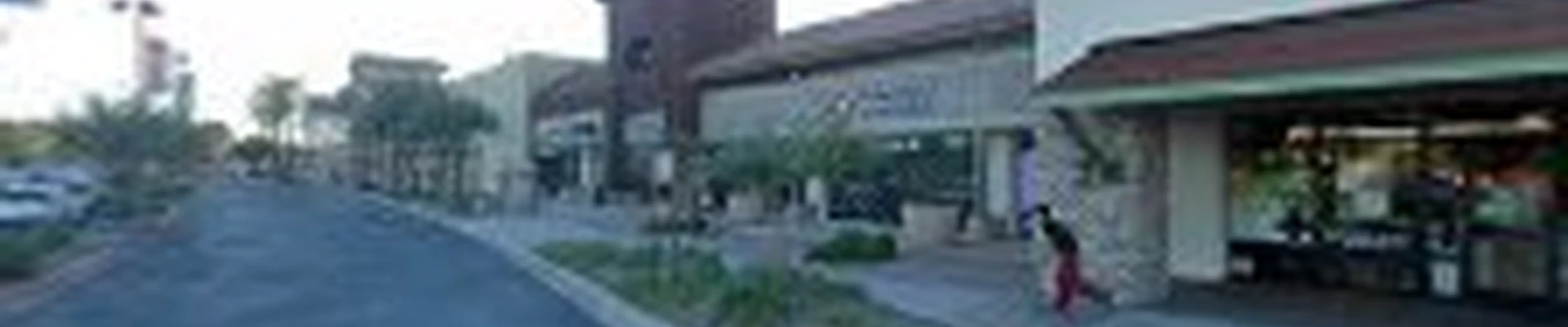 Dolphin Pools Gilbert