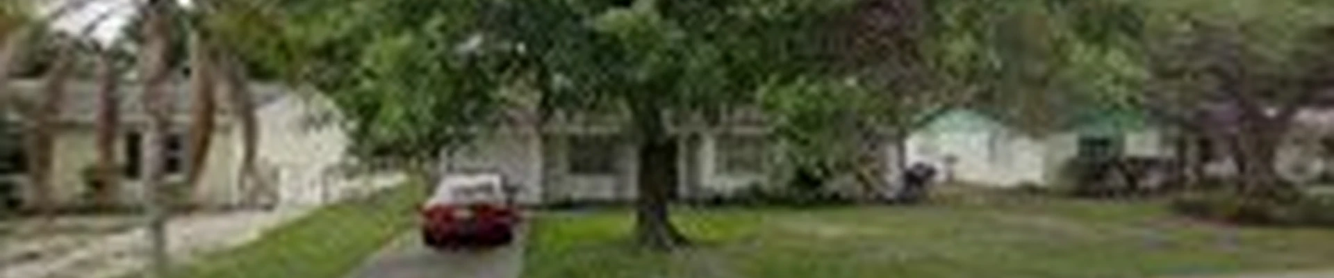 D&Y Tree Services