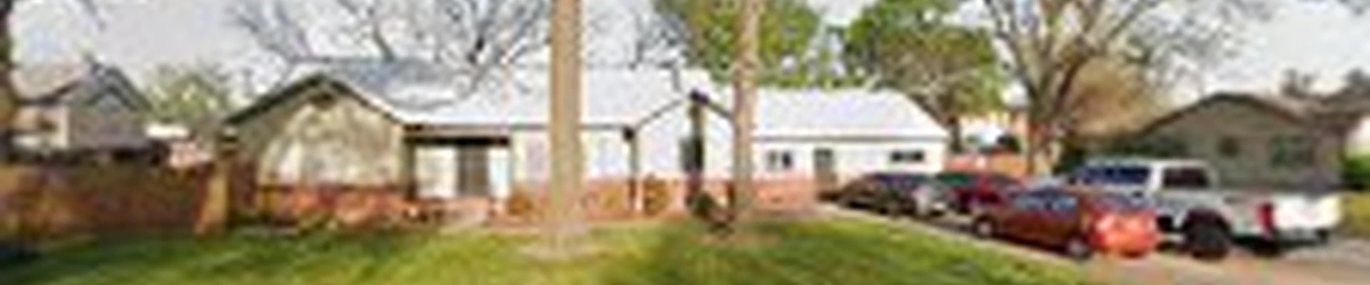 Phillips tree removal