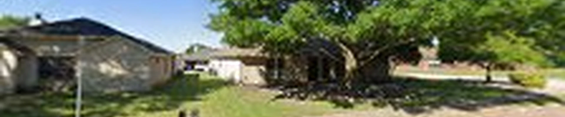 Plano Tree Care Inc