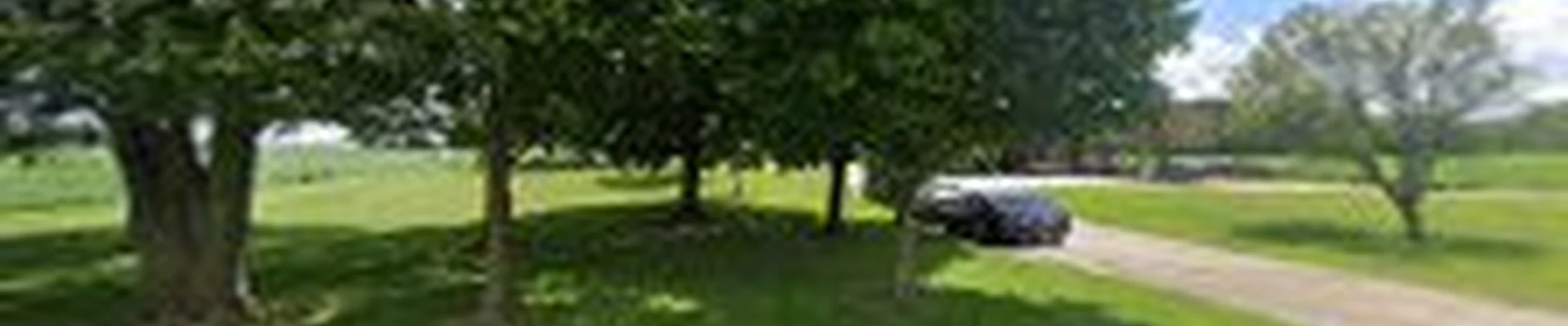 Lopez Landscaping