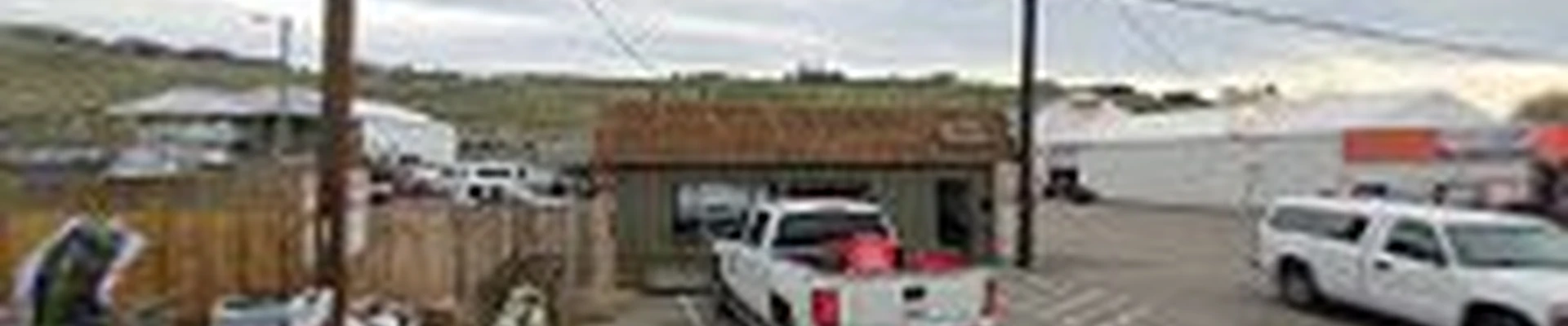 Top Tree Service