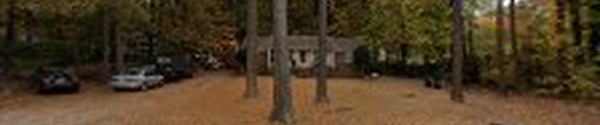 Díaz landscape and tree services