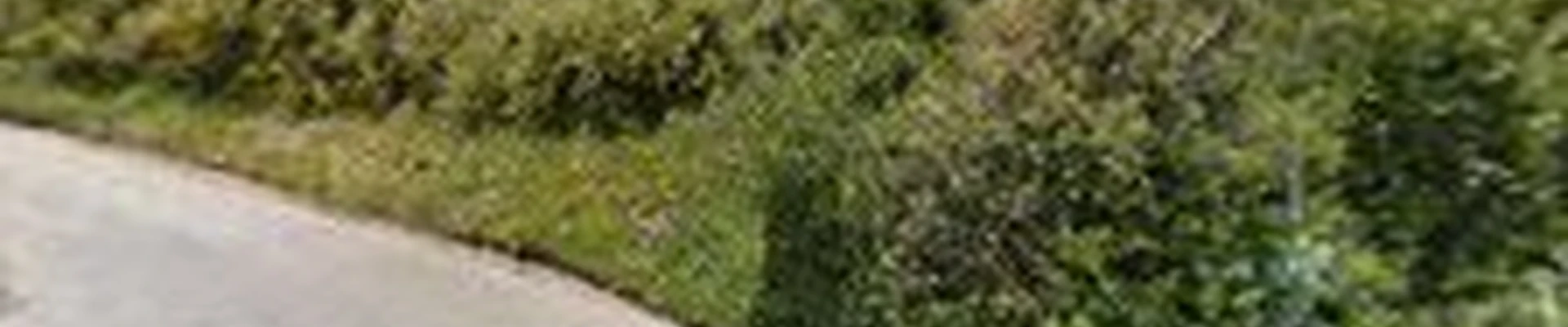 Mark's Landscape Services