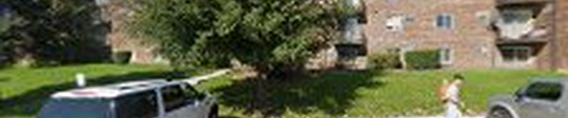 Diego’s landscaping