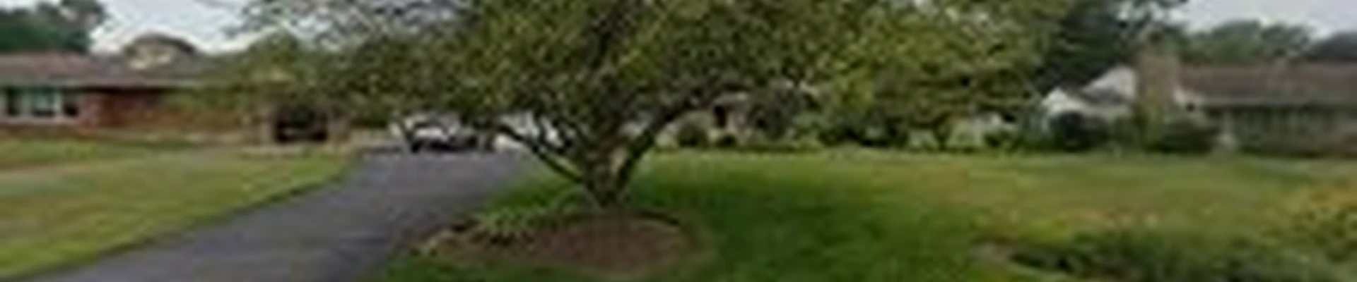 Another Kind Of Green, Inc. Landscaping And Lawn Care
