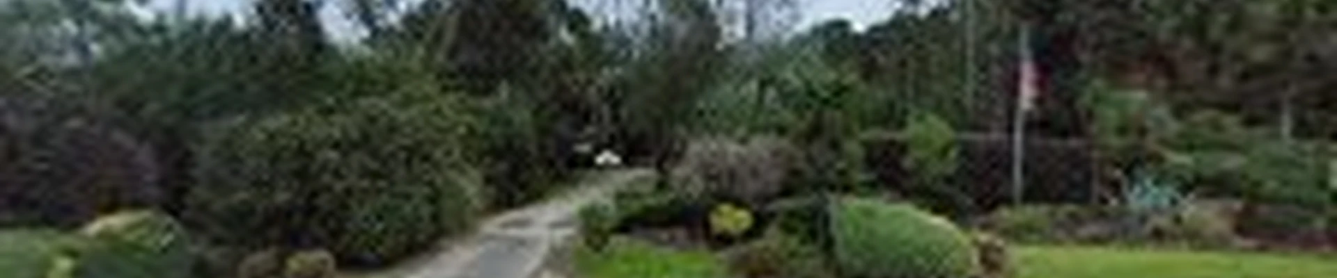 Belforest Landscape