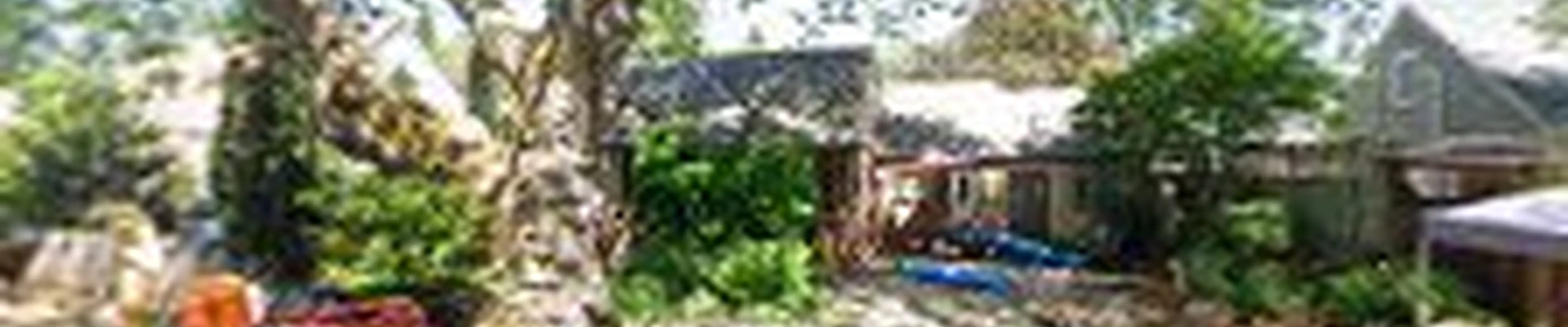 Chainsaw carvings Danks tree creations