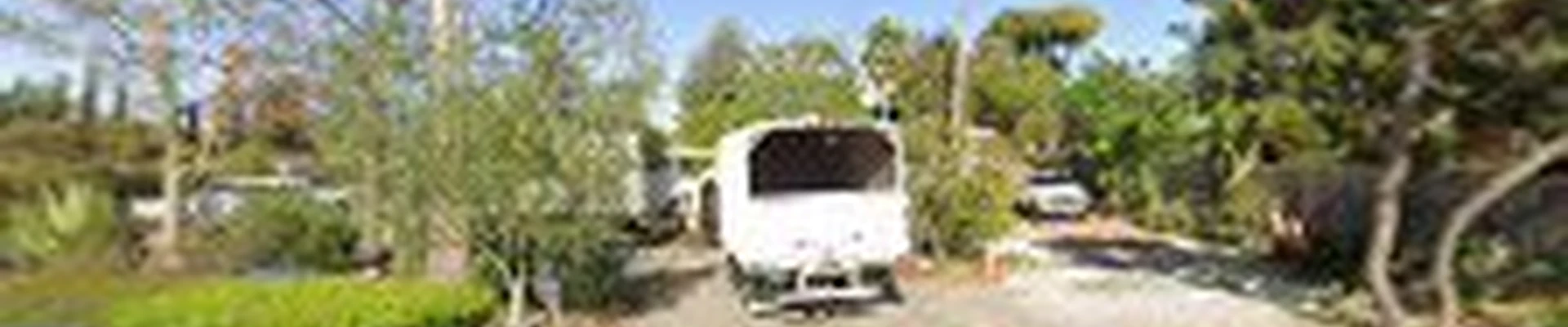 Maya's Landscape & Tree Service