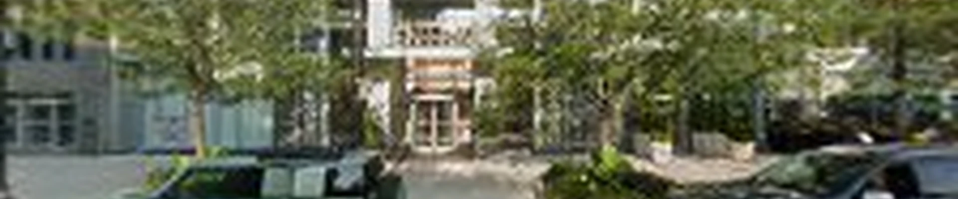 Vital Cleaning Services