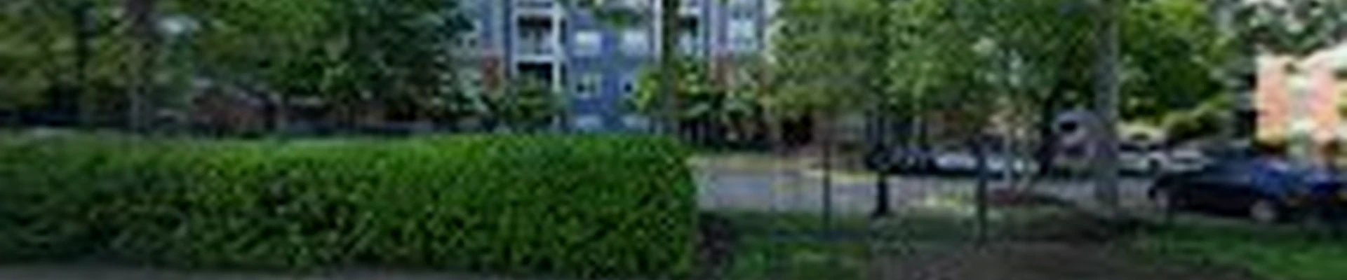 Rose Magic Cleaning LLC