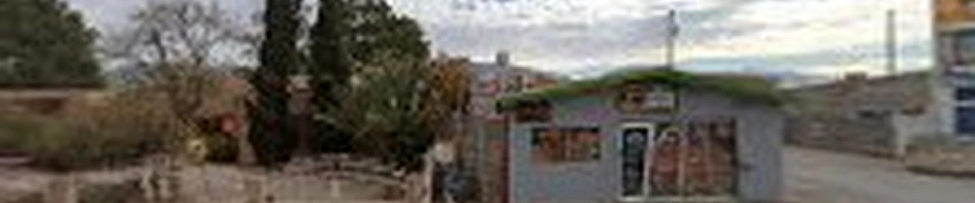 El Paso Arborists