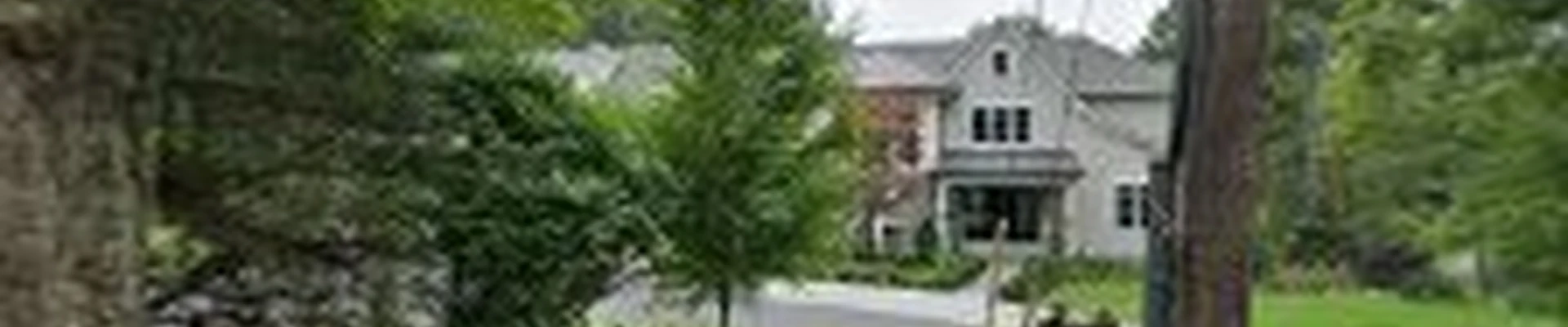 Saba Chimney Sweep Services