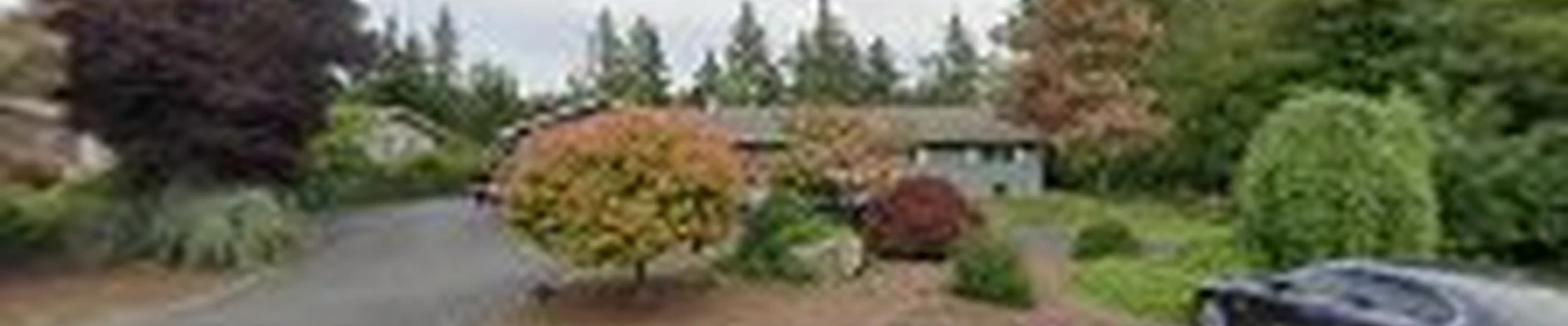 H&T Window & Gutter Cleaning