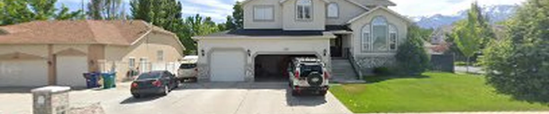 Green Solution organic carpet cleaning