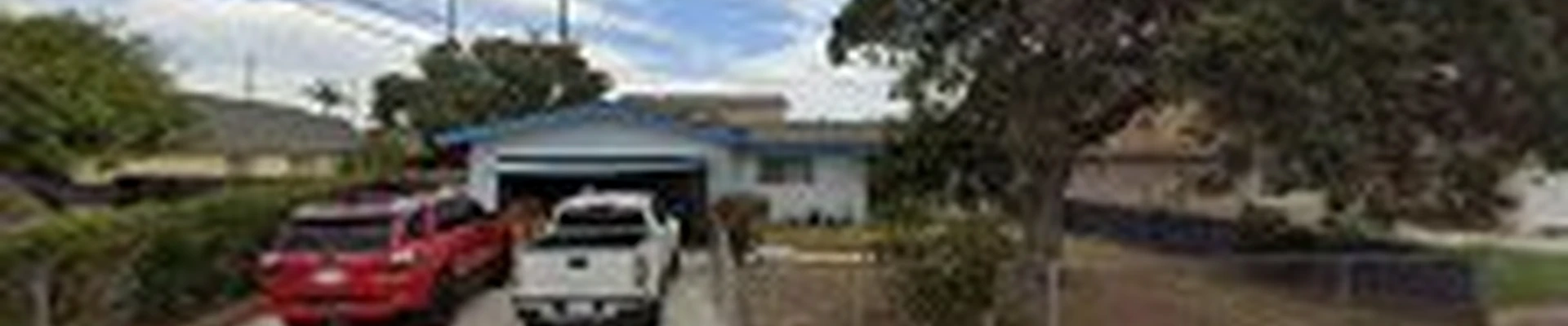 Dynamic Carpet Cleaning Expert