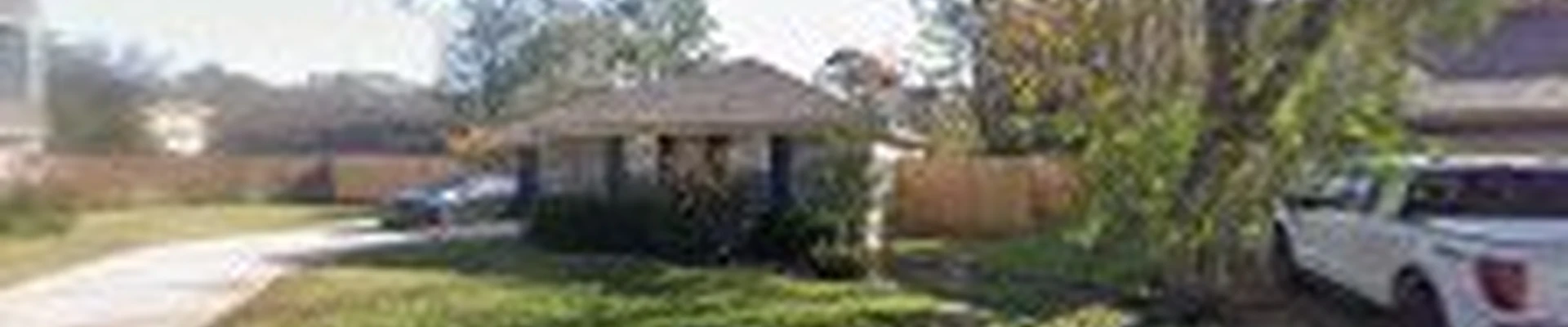 Carpet Cleaning in Spring