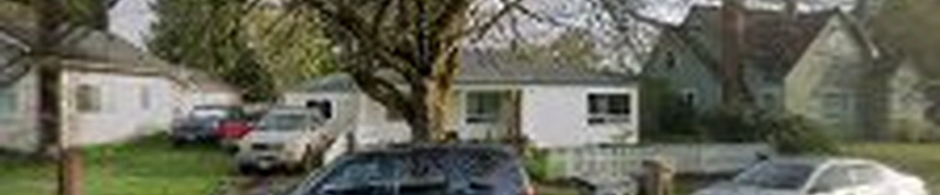 Spring Cleaning Services