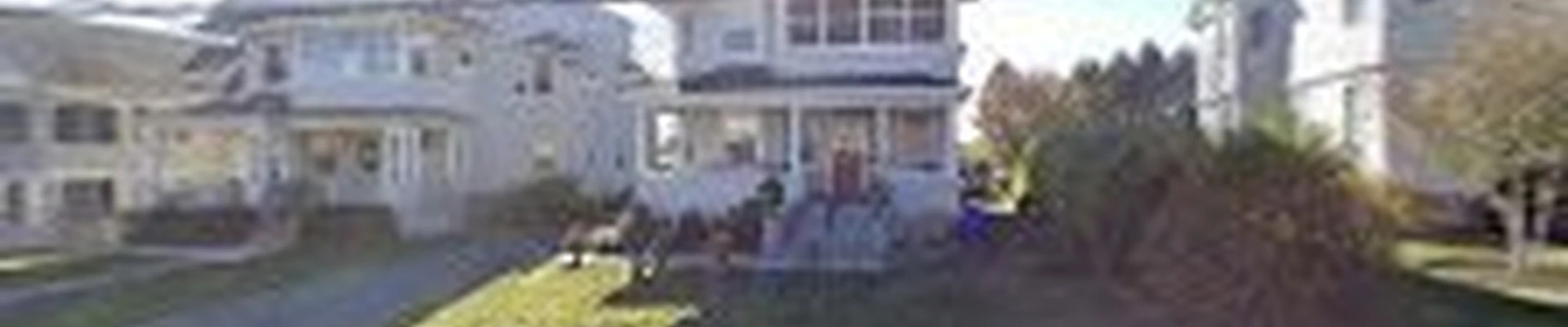 American Tree Experts Inc
