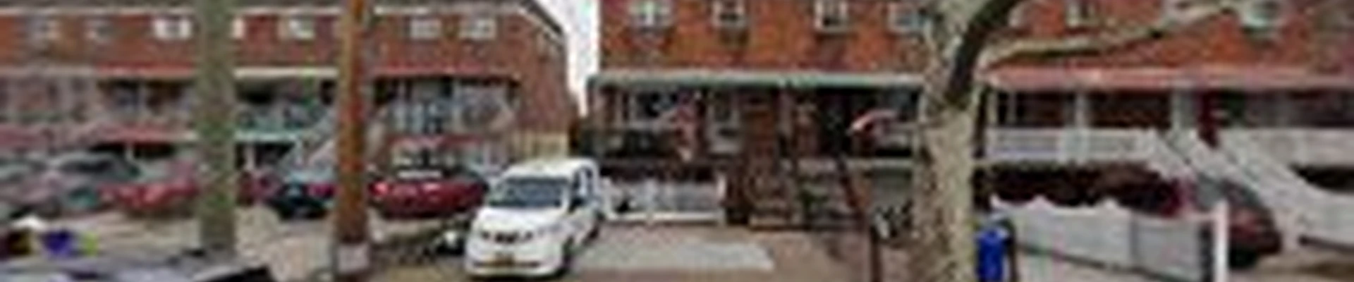 Tree Cutting Bronx, Tree Removal, Tree Services